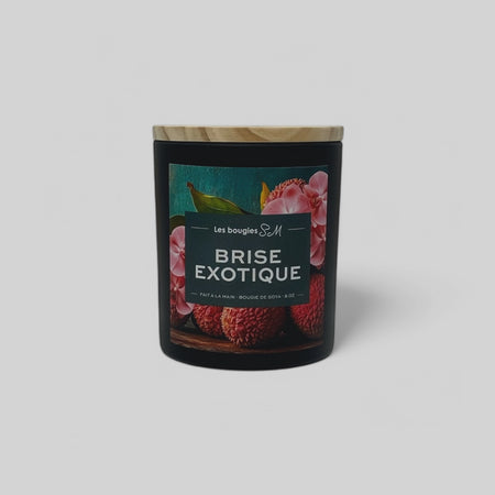 treewicks

spring

soja

printemp

parfum frais

parfum exotique

parfum envoûtant

parfum doux

orchide

odeur

oasis

litchie

fraicheur structurante

fraicheur

fragrance

floral

exotique

espace

effet envoutant

chandelle

candle

brise exotique

brise

bougie

bien etre

arômes

arôme naturel

ambiance envoutante

8 oz

3 meche

12 oz