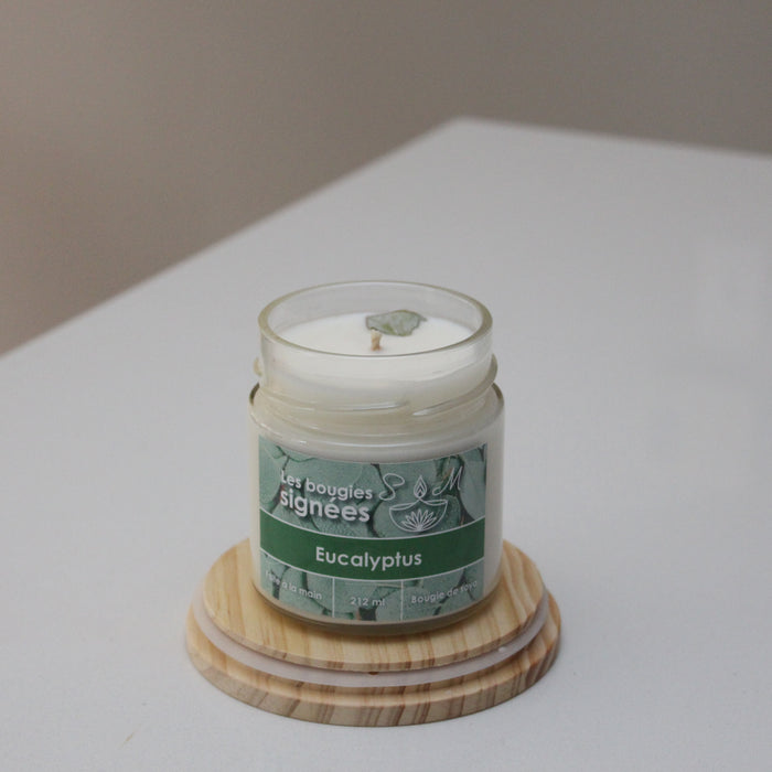 Eucalyptus
