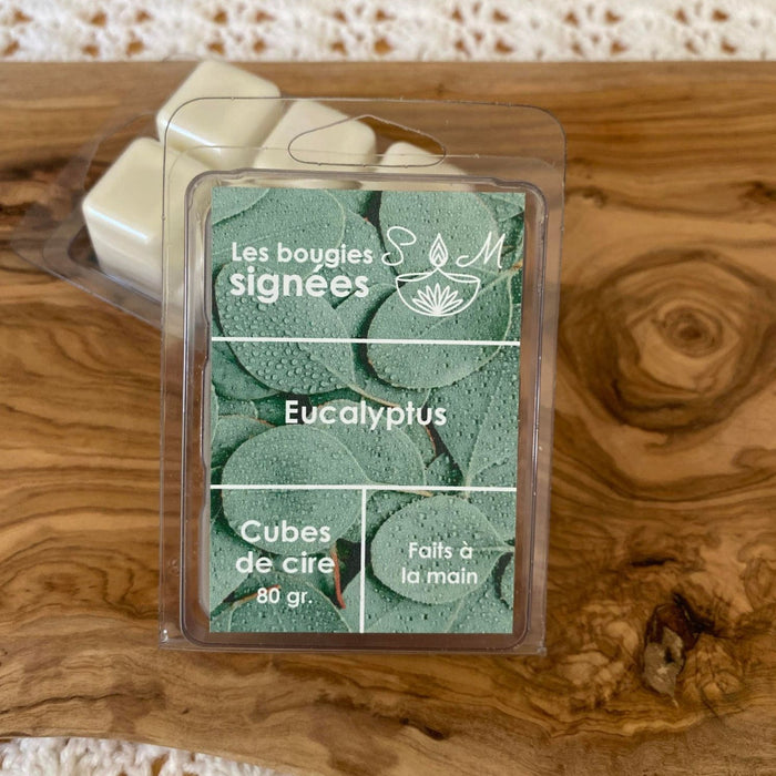 Cubes de cire / Eucalyptus
